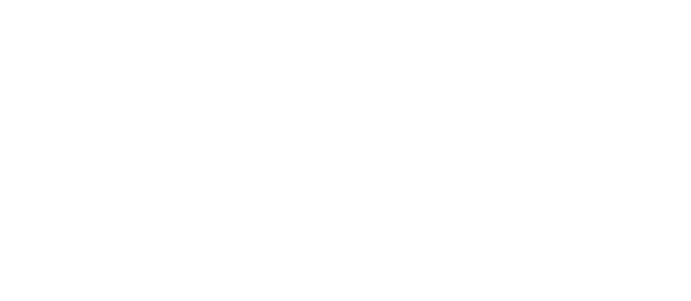 Danssport logo